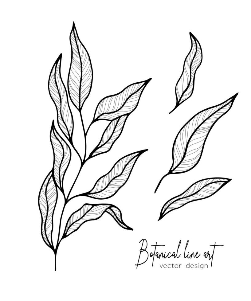 Botanical elegant line illustration of a leaves branch for wedding invitation and cards, logo design, web, social media and poster, template, advertisement, beauty and cosmetic industry. vector