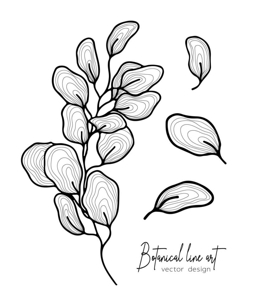 Botanical elegant line illustration of a leaves branch for wedding invitation and cards, logo design, web, social media and poster, template, advertisement, beauty and cosmetic industry. vector
