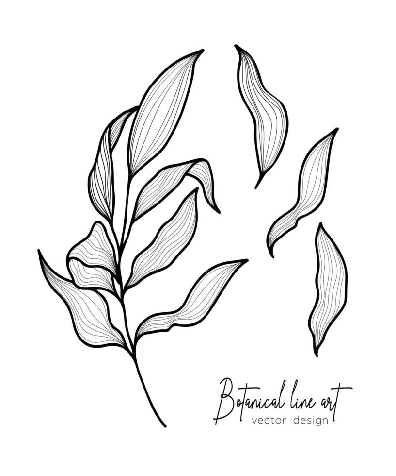 Botanical elegant line illustration of a leaves branch for wedding invitation and cards, logo design, web, social media and poster, template, advertisement, beauty and cosmetic industry. vector