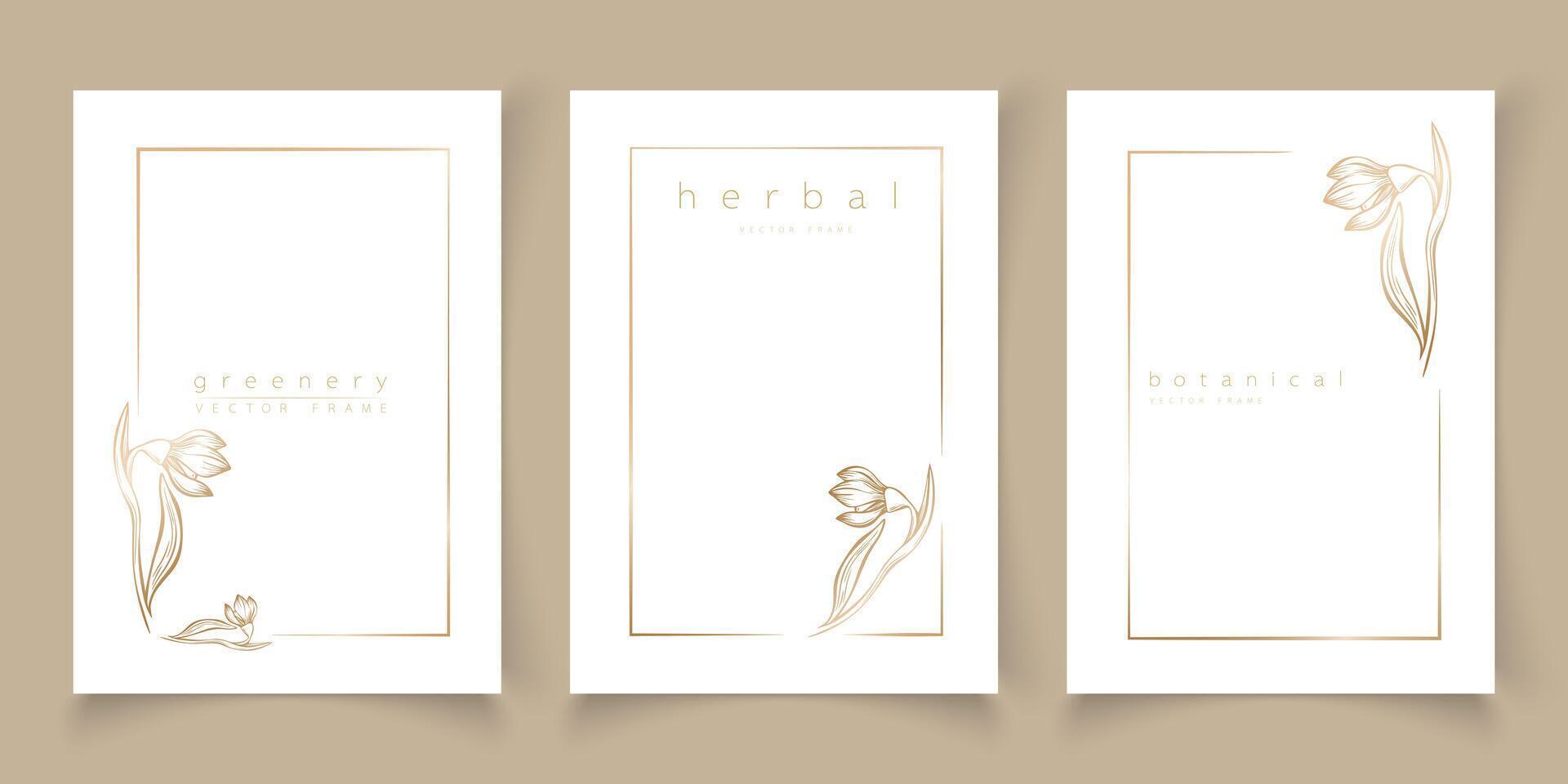 Set of frame snowdrop flower templates in minimal linear style hand drawn style. Elegant frames. Botanical vector illustration for labels, corporate identity, wedding invitation, logo, save the date