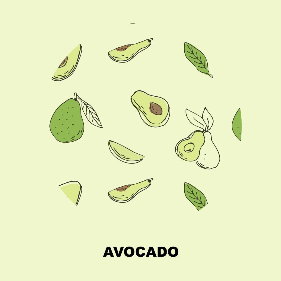 Sketch drawing banner of avocado, outline avocado and half, sliced fruit and seed. Vector illustration can used for wrapping paper, banner and cover design.