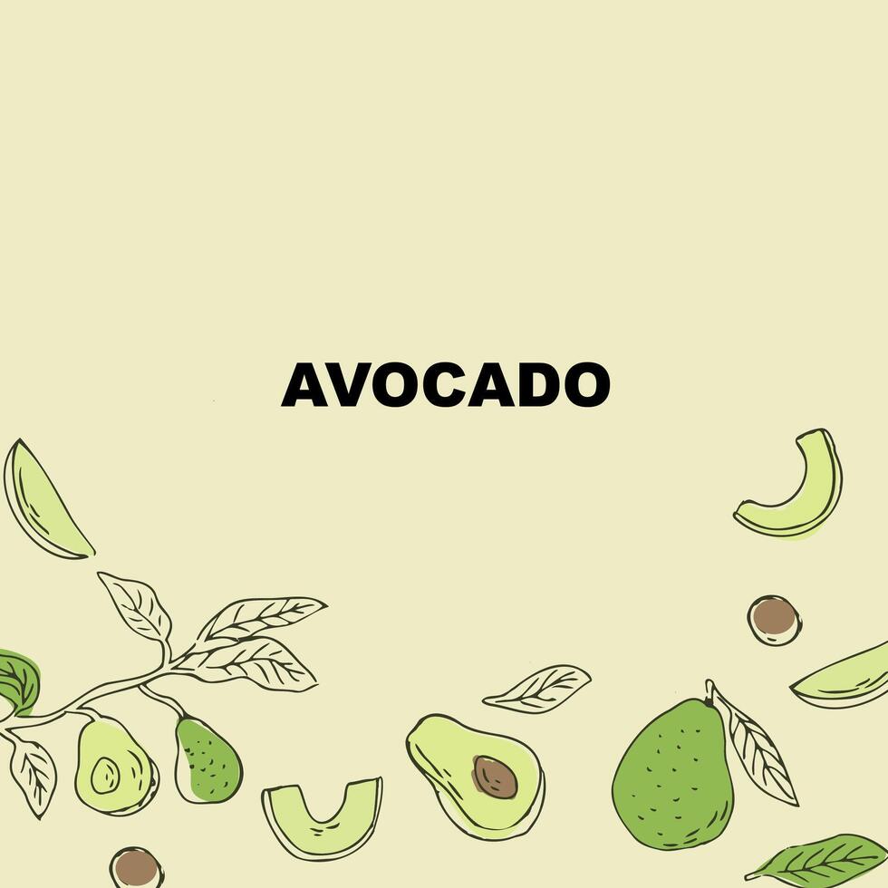 Sketch drawing banner or card, outline avocado fruit and half, sliced fruit and seed. Vector illustration can used for wrapping paper, banner and cover design.
