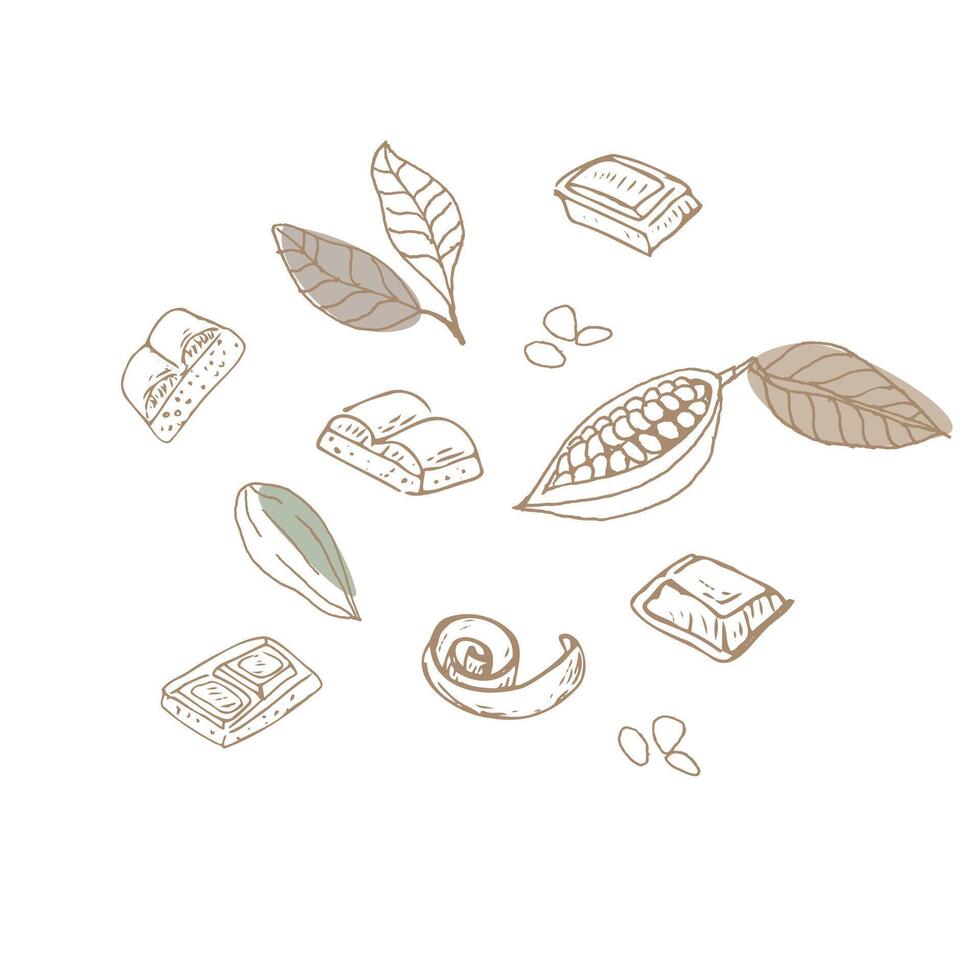 Cocoa beans doodle sketch and chocolate set. Vector illustration isolated. Hand drawn outline vector illustration. Suitable for wrapping, packaging, poster. Chocolate sliced, chips and candy.