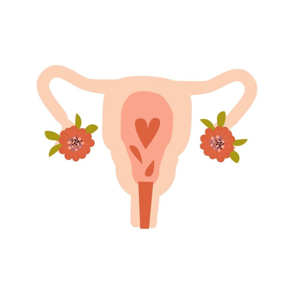 Beautiful female reproductive system with flowers and heart. Feminine gynecology. Vector illustration isolated. Can used for poster, card, for concept banner of female health.