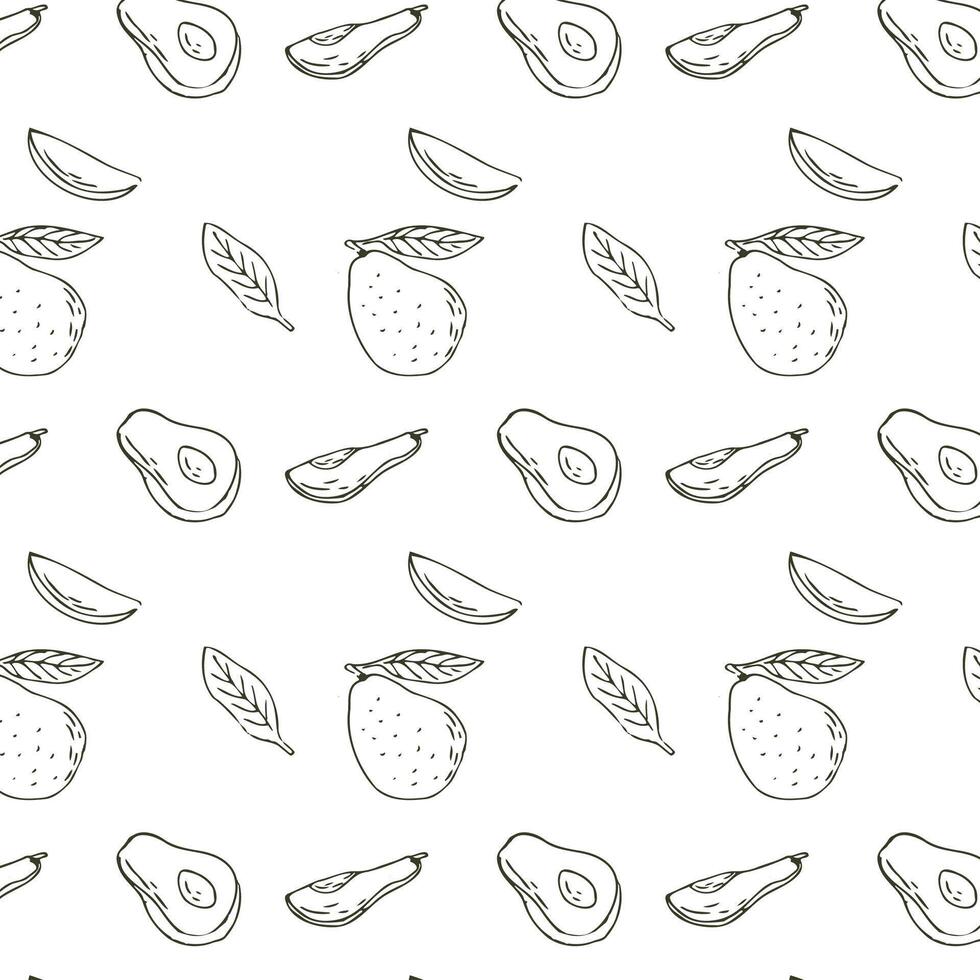 Sketch drawing pattern with avocado sliced, half and fruit with leaf. Vector illustration can used for wrapping paper, banner and cover design.