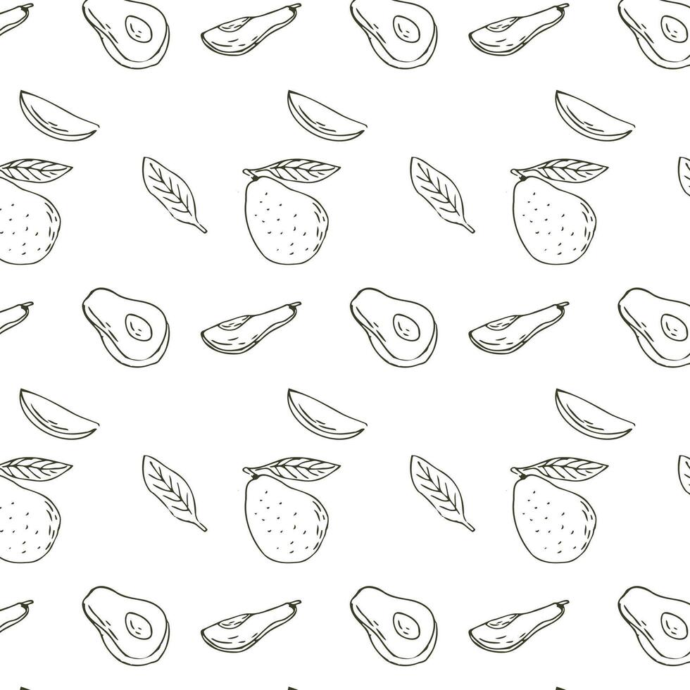 bosquejo dibujo modelo con aguacate rebanado, medio y Fruta con hoja. vector ilustración lata usado para envase papel, bandera y cubrir diseño.