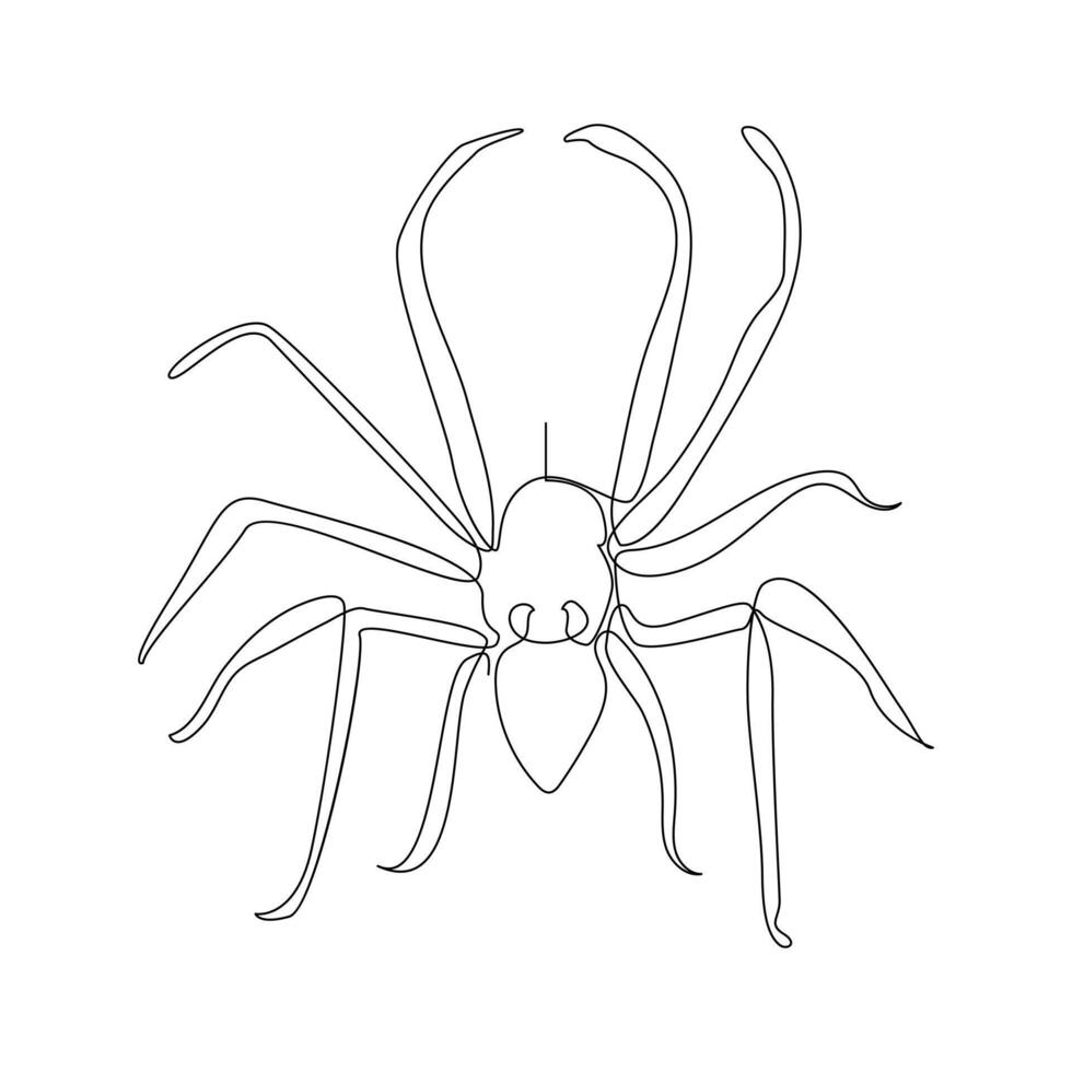 vector en uno continuo línea dibujo de araña ilustración mínimo diseño editable carrera