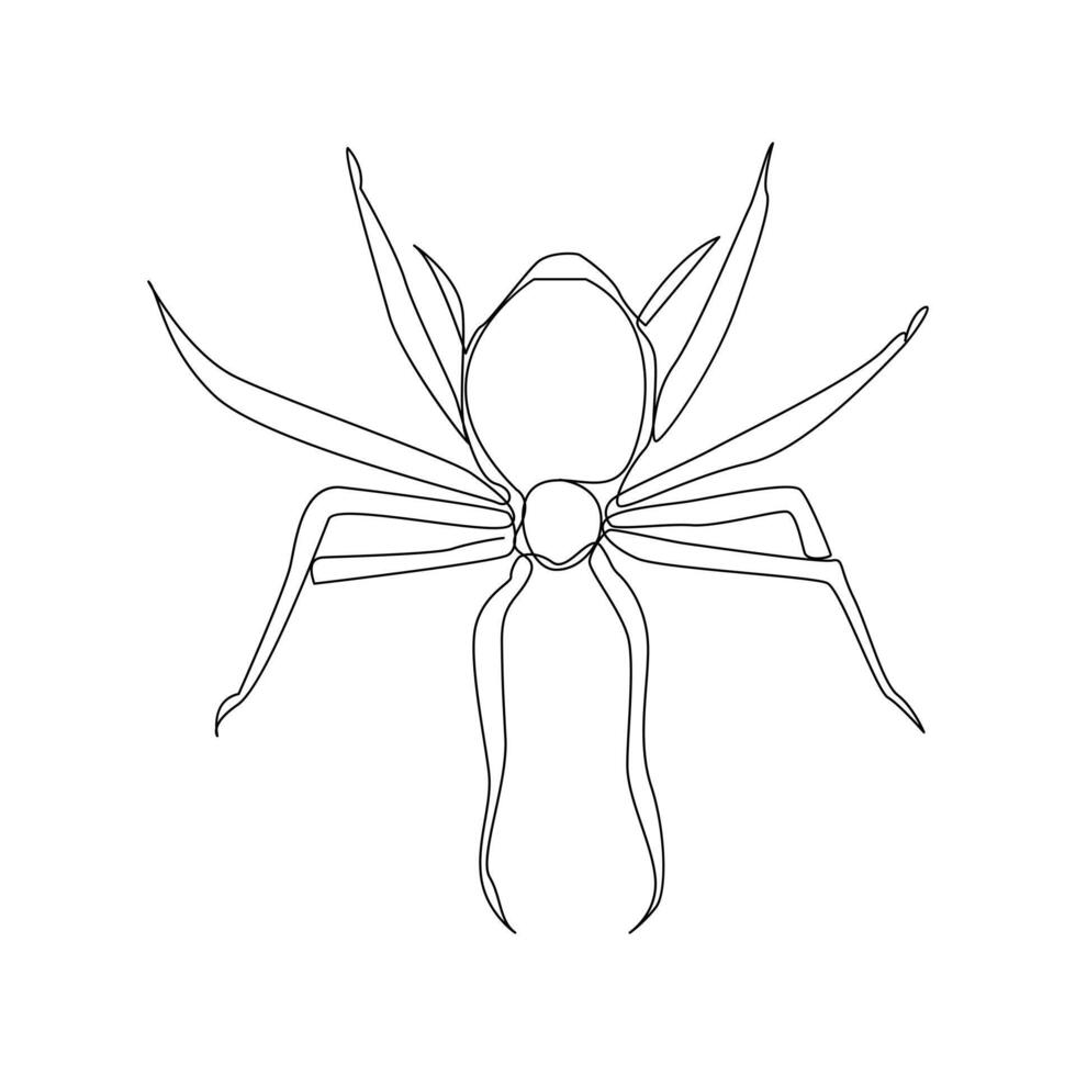 vector en uno continuo línea dibujo de araña ilustración mínimo diseño editable carrera