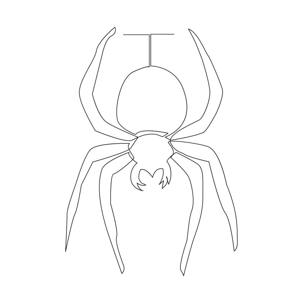 Vector in one continuous line drawing of spider illustration minimal design editable stroke