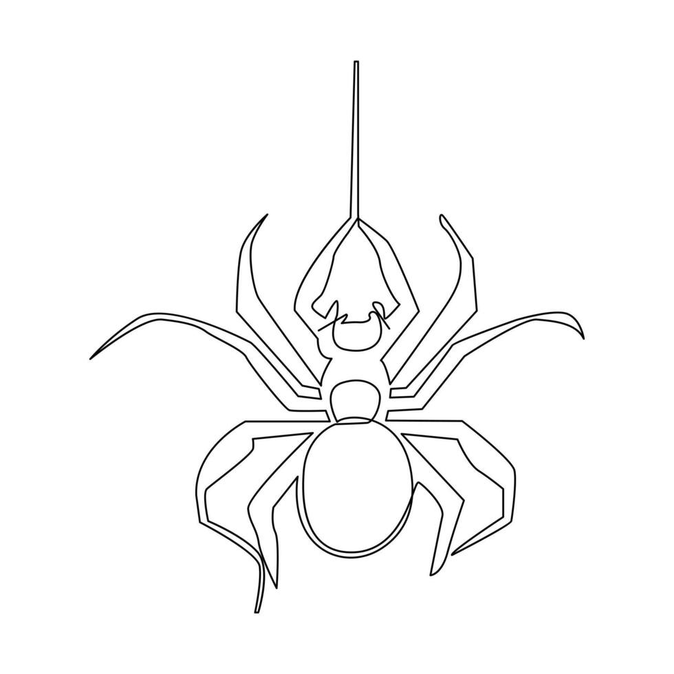 Vector in one continuous line drawing of spider illustration minimal design editable stroke