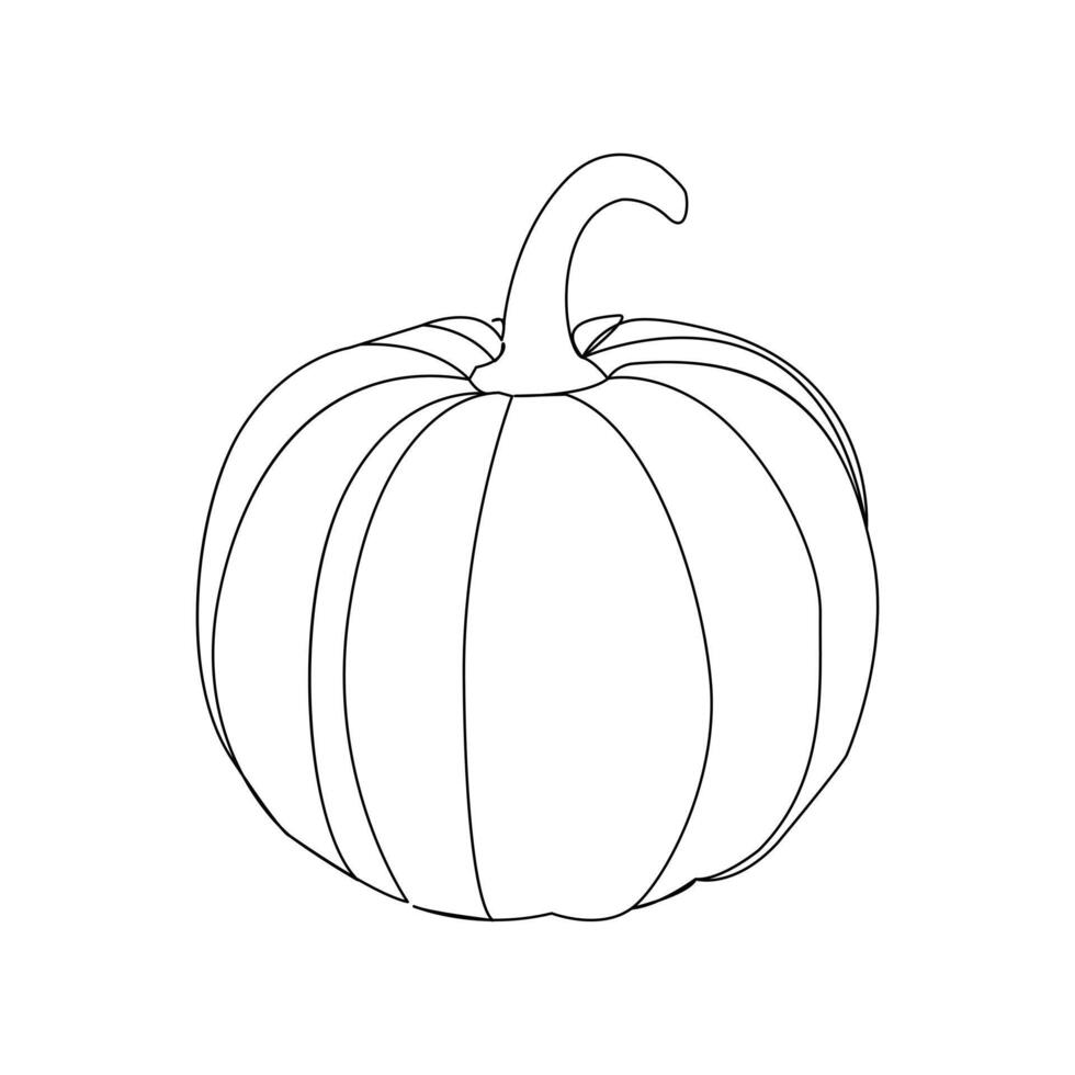 Vector in one continuous line drawing of pumpkin illustration concept of vegetables minimal design