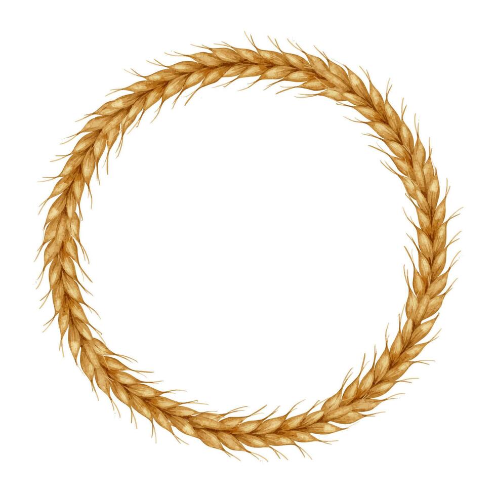 Ears of wheat. Bakery farm food concept. Watercolor frame of Cereal ears. Template for bakeries, bakehouses confectioner. Bakery. For design of labels and packaging of goods, cards, shops vector
