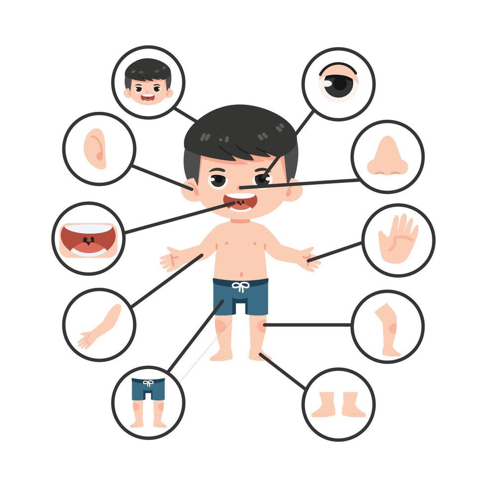 Children with different parts of the body for teaching vector