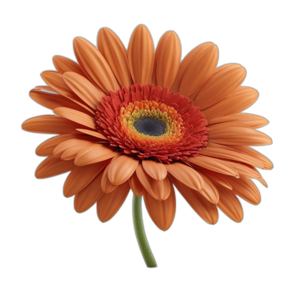 3d återges gerbera daisy blomma png