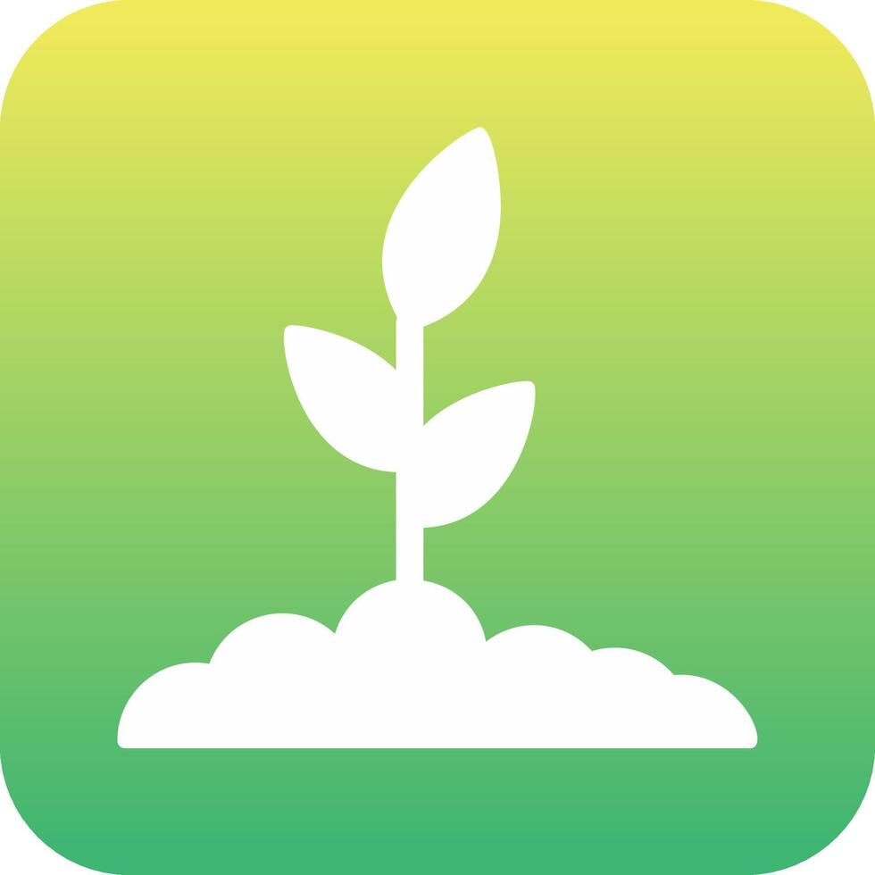 Plant Vector Icon