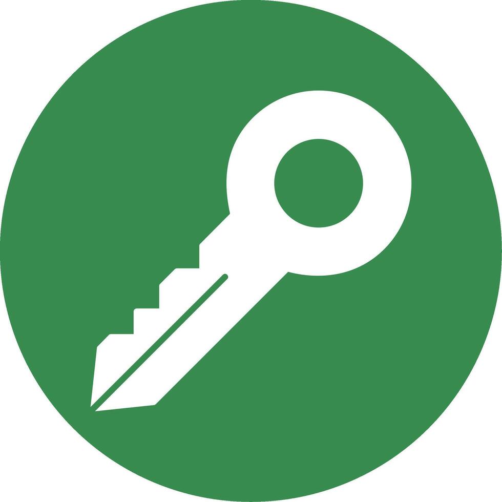Key Glyph Circle Icon vector