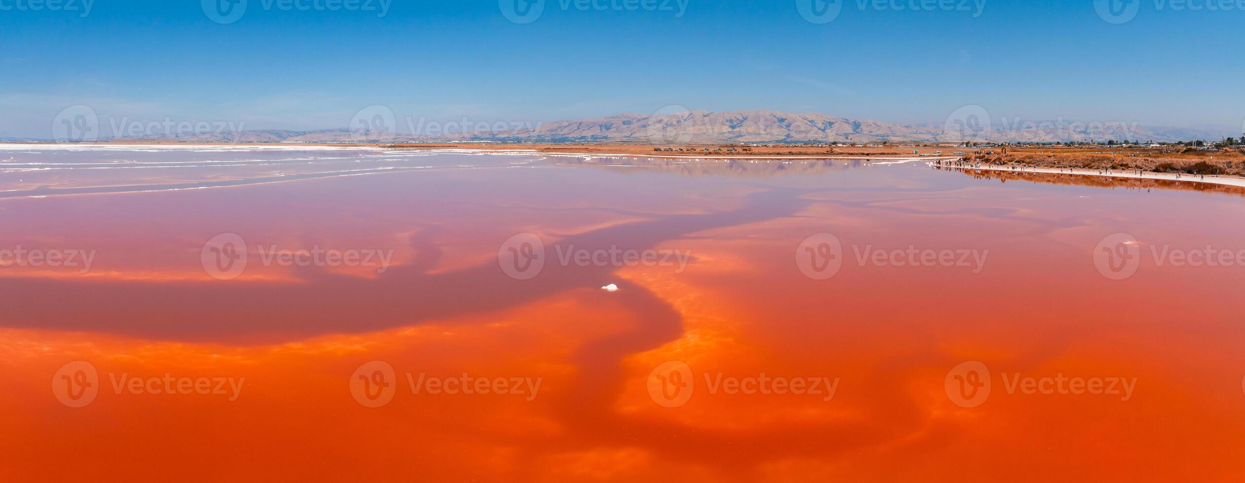 Pink salt ponds at Alviso Marina County Park photo