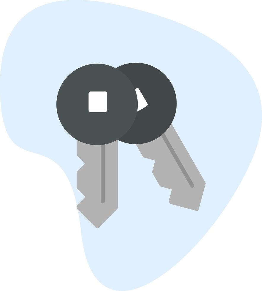 Keys Vector Icon