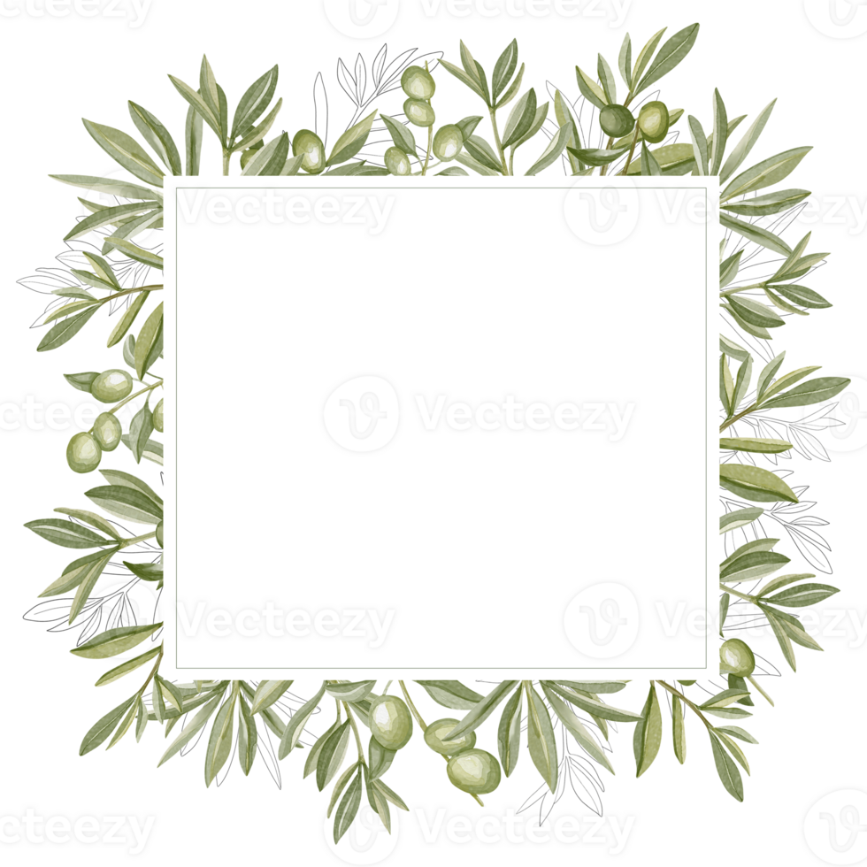 Hand drawn watercolor frame with olive branches and leaves. Perfect for creating cards, print, wedding invitation. png