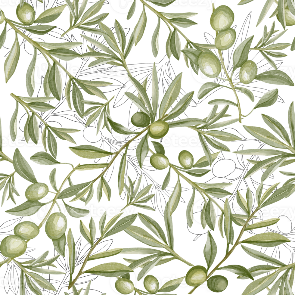 Watercolor seamless pattern with green olive branches in vintage style. Botanical illustration olive tree png