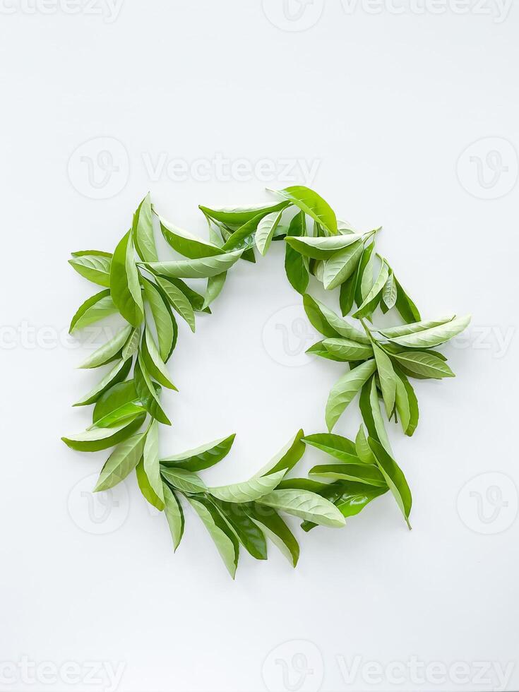 frame workspace with green leaves on white background. lay flat, top view photo