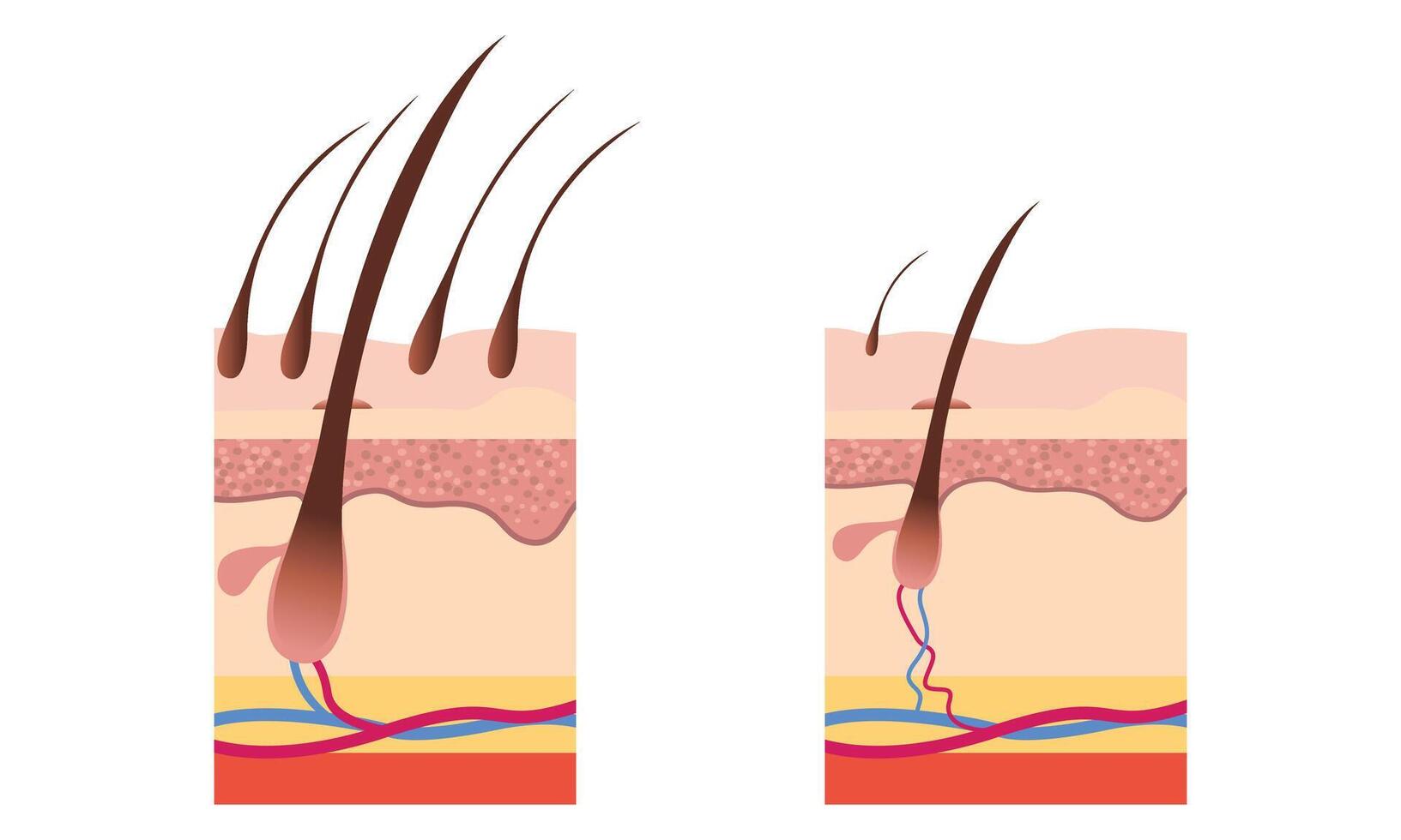 Human hair 100 vector illustration design.