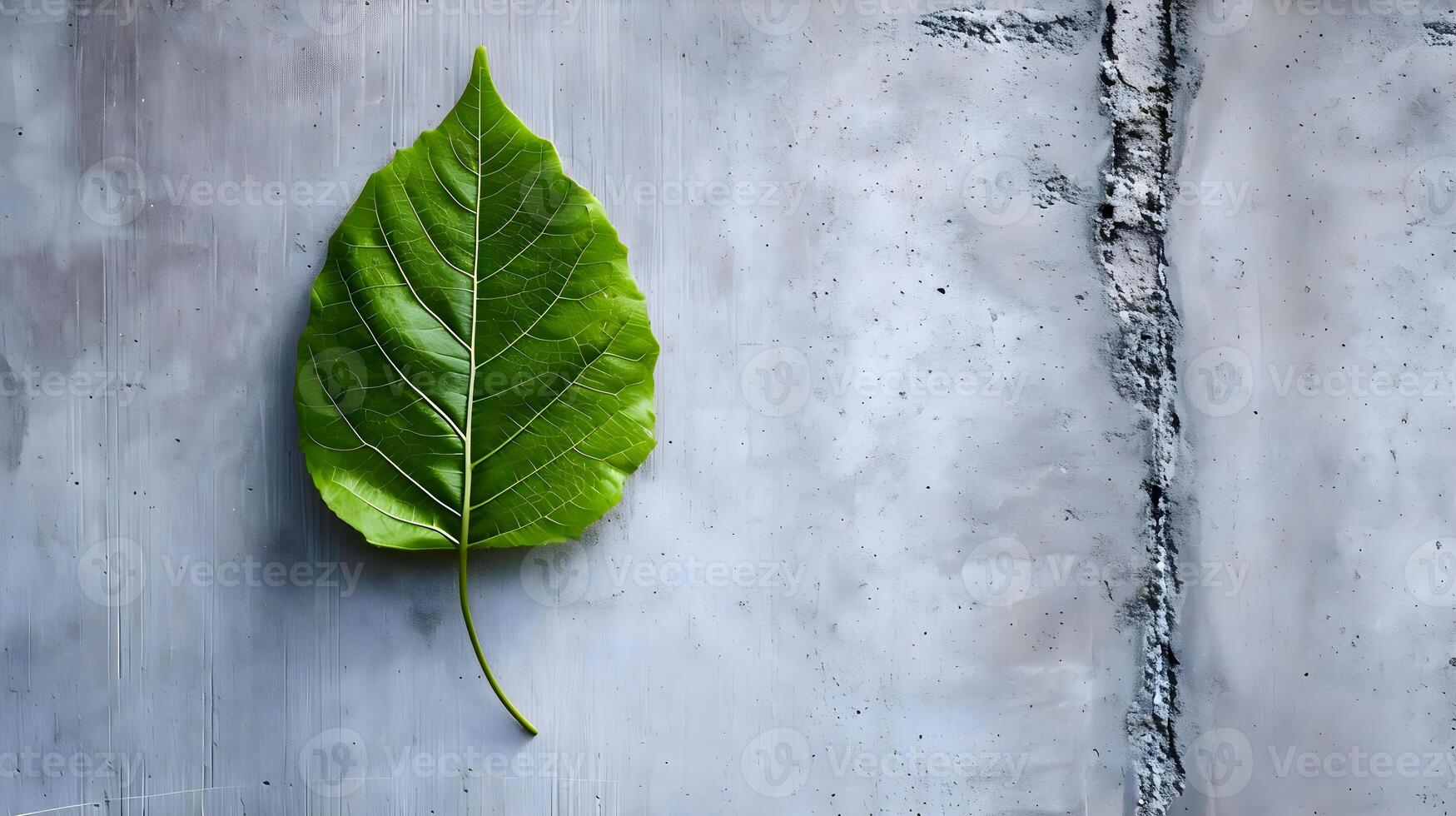 AI generated a green leaf laying on top of a cement wall photo