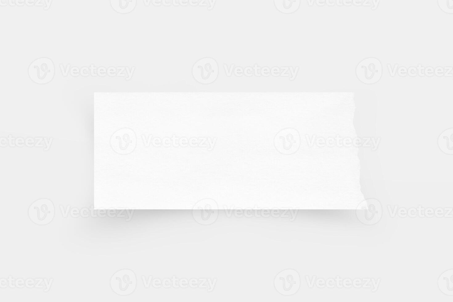 Torn paper edges. Ripped paper texture. Paper tag. White paper sheet for background with clipping path. Close up. photo