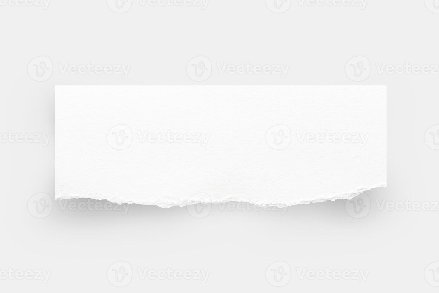 Torn paper edges. Ripped paper texture. Paper tag. White paper sheet for background with clipping path. Close up. photo