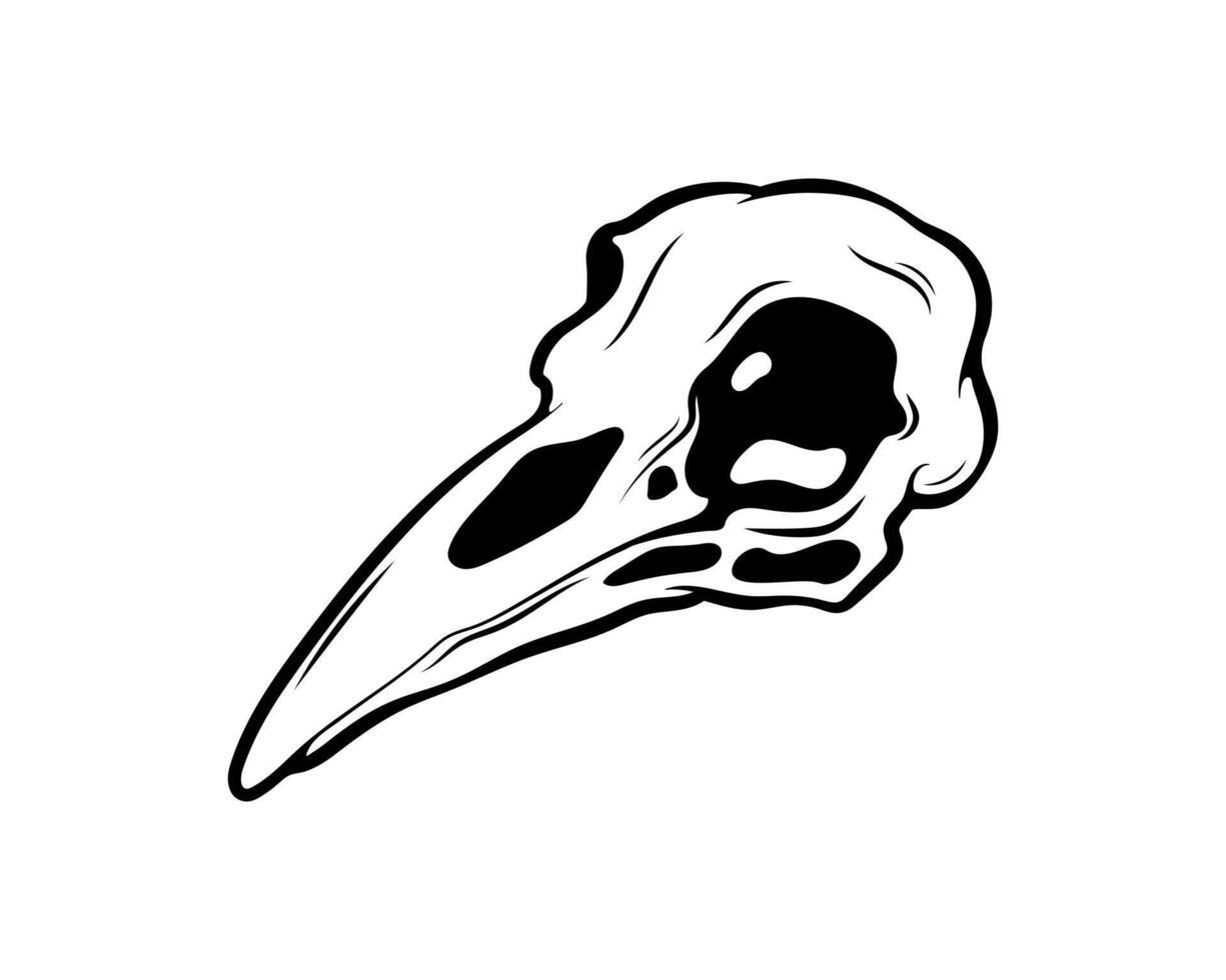 Mystical vector illustration. Crow skull on a white background. Hand drawn bird skull, line sketch. Gothic style. Freehand drawing in Boho style. Witchcraft, magical voodoo attribute for Halloween.