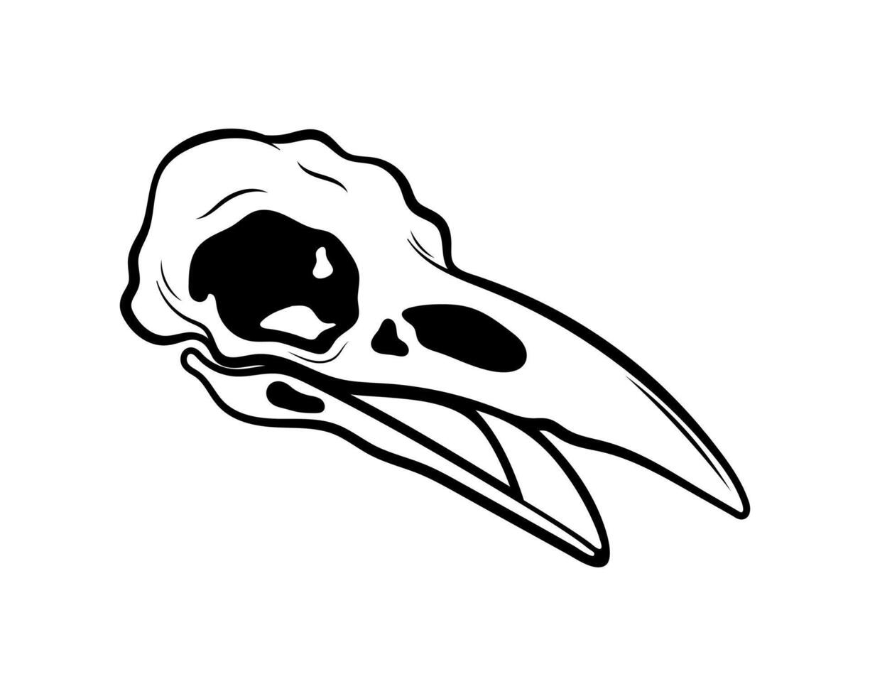 Mystical vector illustration. Crow skull on a white background. Hand drawn bird skull, line sketch. Gothic style. Freehand drawing in Boho style. Witchcraft, magical voodoo attribute for Halloween.