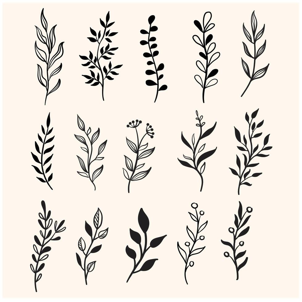Leaf branch wreath rustic set. Illustration doodle and line art vector