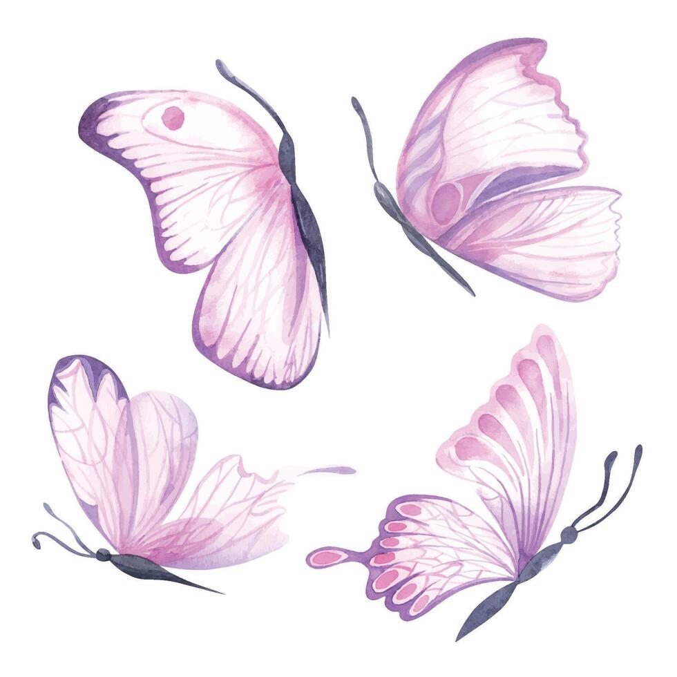 pink butterfly Watercolor colorful butterflies, isolated on white background. pink and lilac butterfly spring illustration Butterfly. Element for design, cards, spring web vector