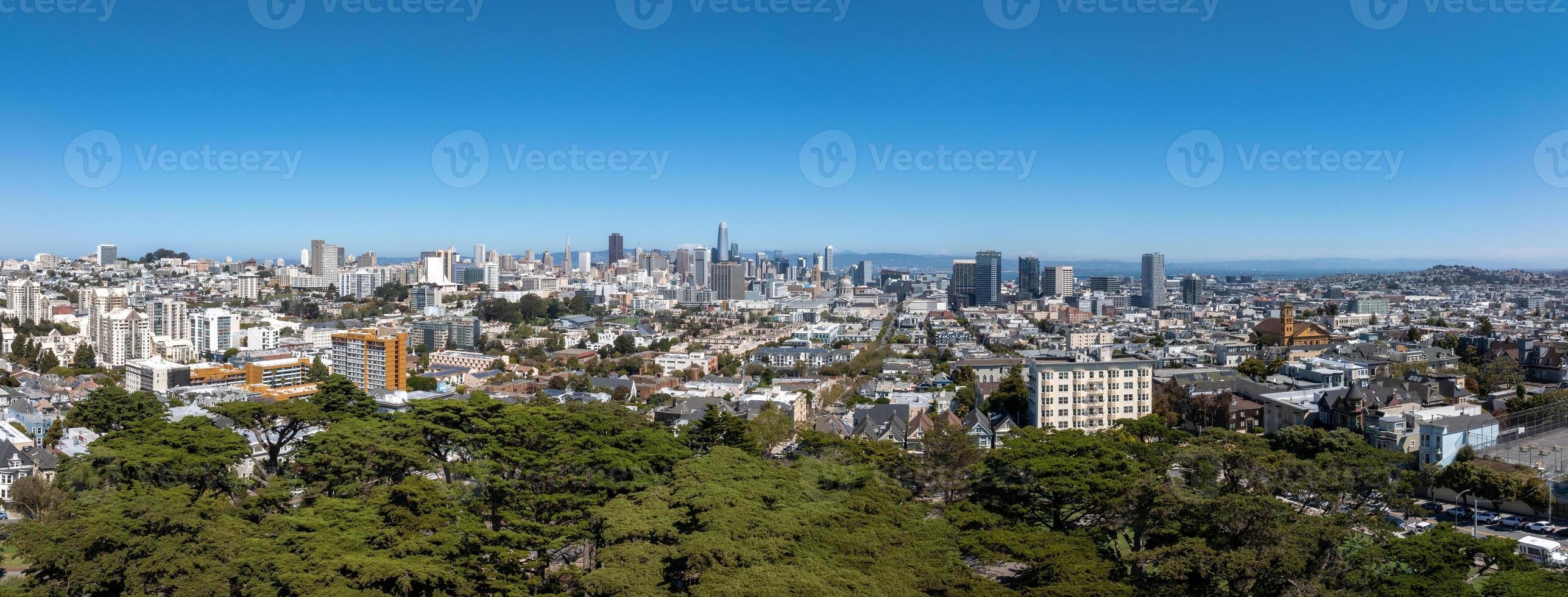 The Painted Ladies of San Francisco, California, USA. photo