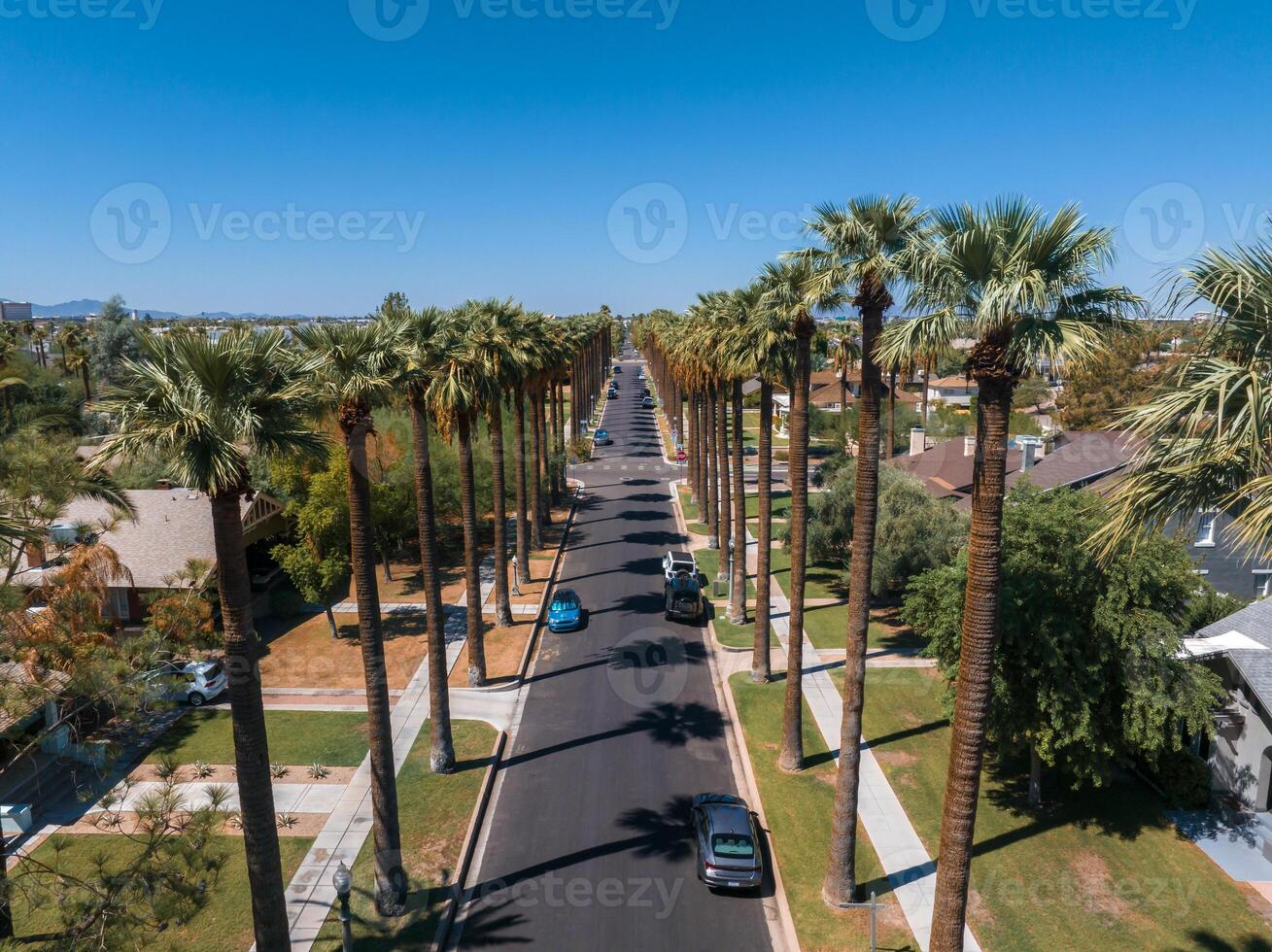 An aerial shot of Californian palms with an empty road. photo