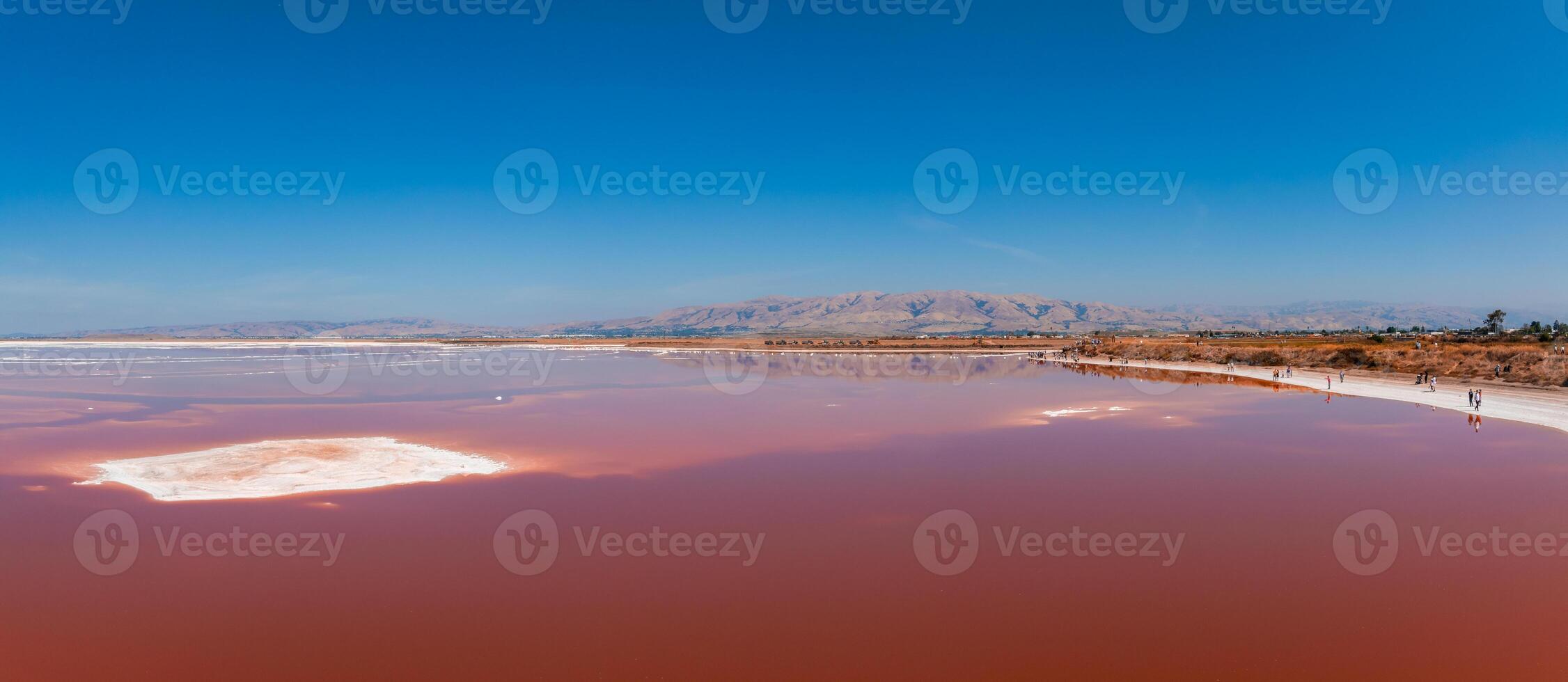 Pink salt ponds at Alviso Marina County Park photo