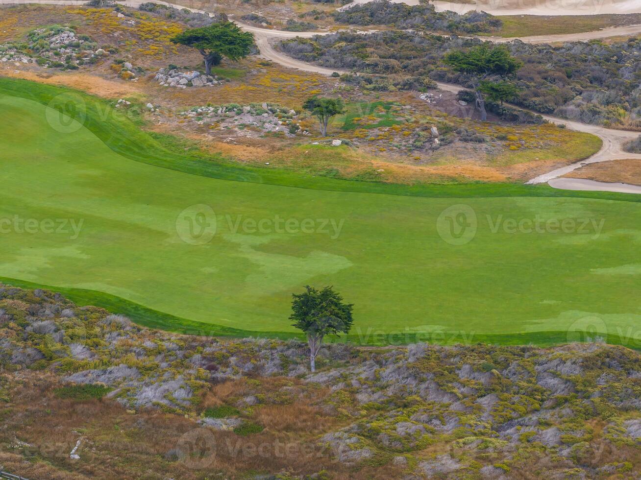 Aerial view of the gold court in California. photo