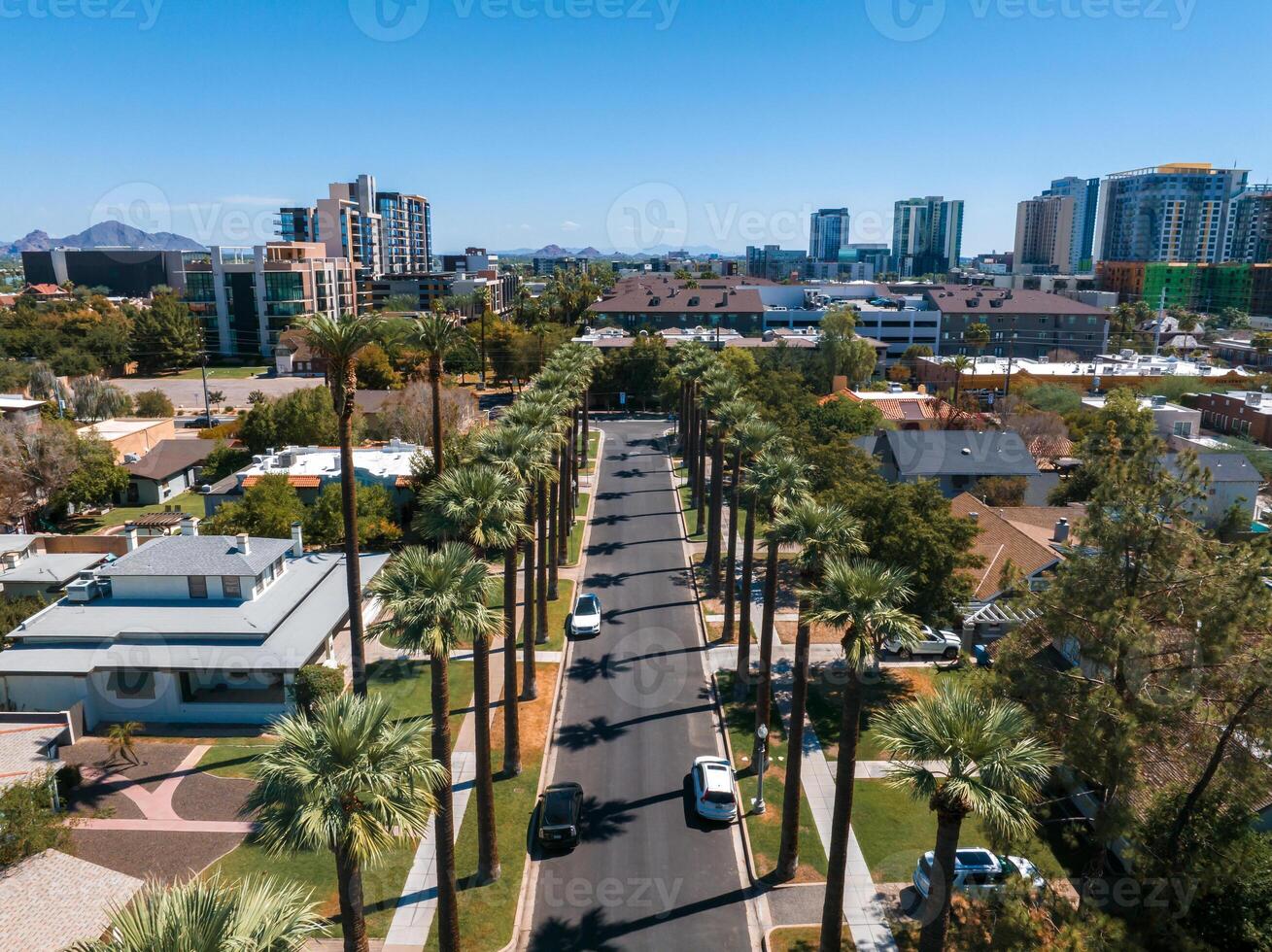 An aerial shot of Californian palms with an empty road. photo