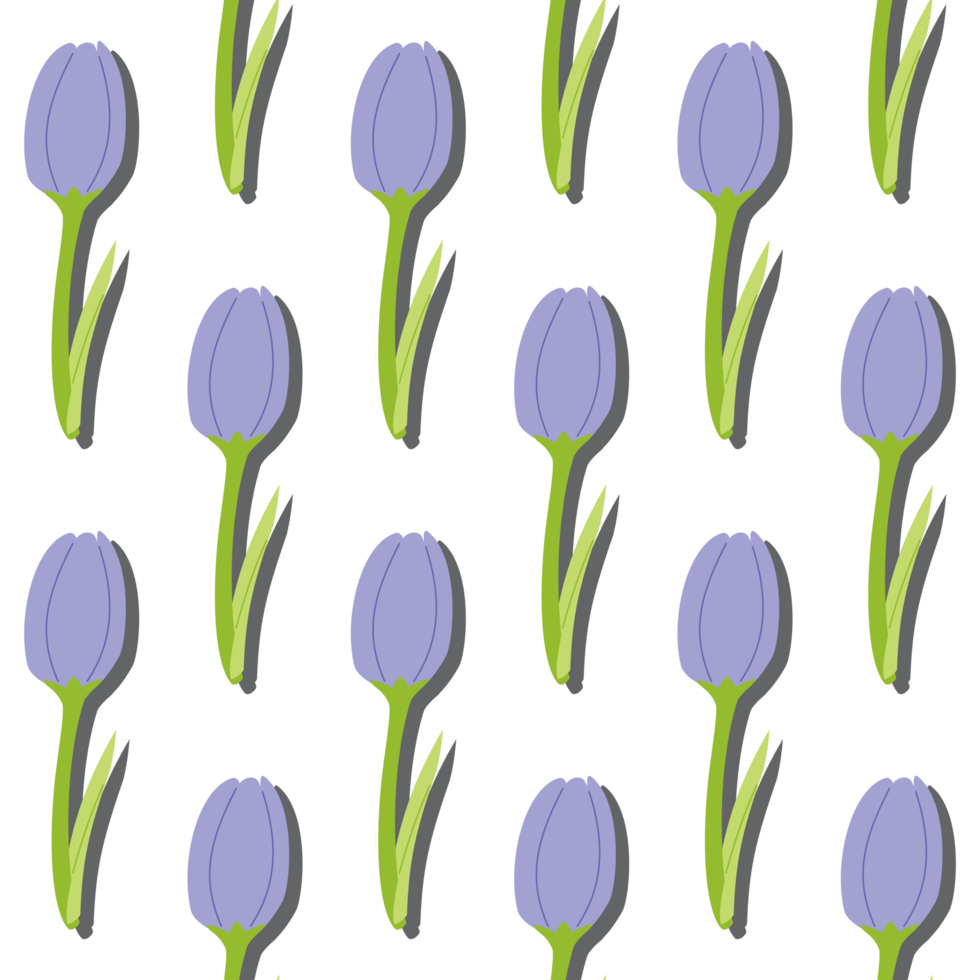 A seamless pattern of tulip PNG transparent background in a spring minimal floral concept, illustration