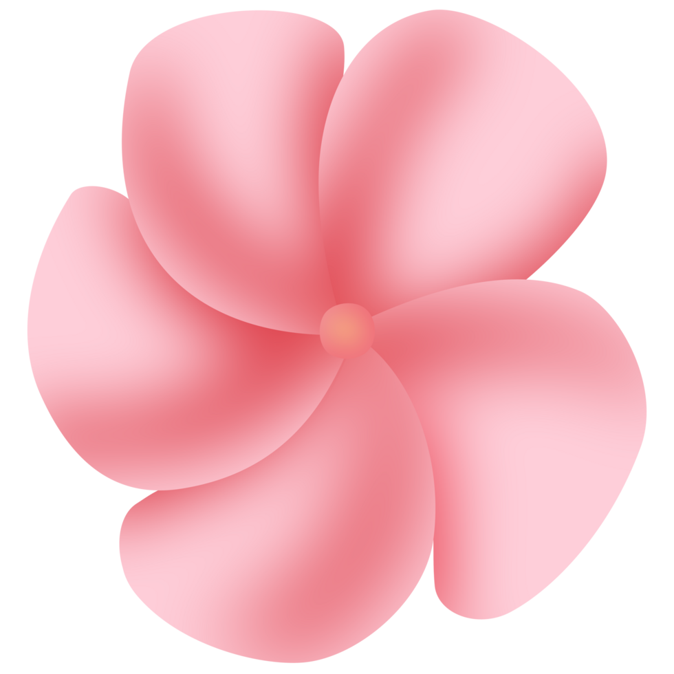 A plumeria frangipani PNG transparent background in a hand-drawn gradient color spring floral concept, illustration