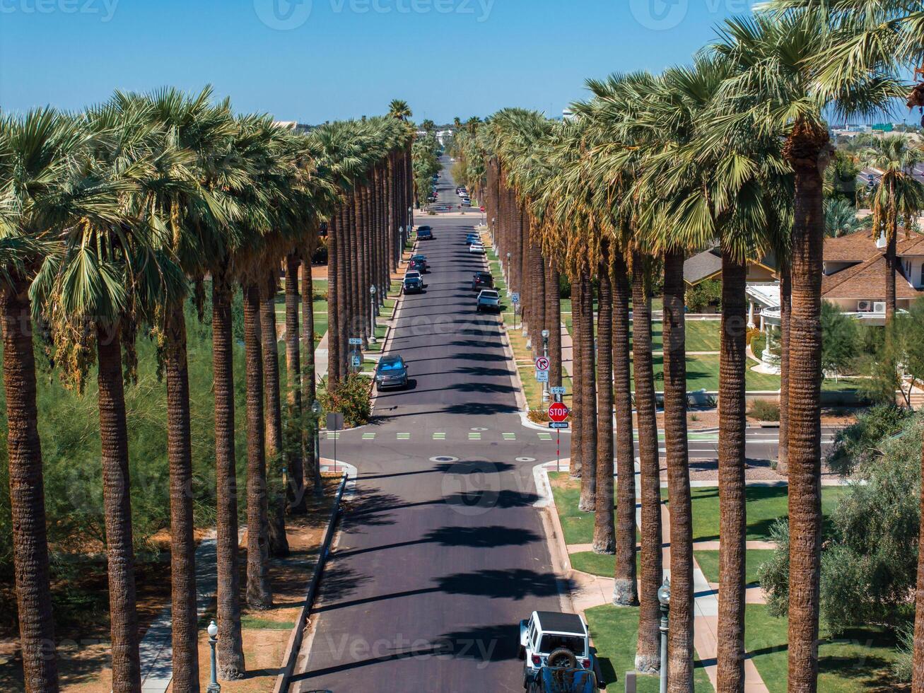 An aerial shot of Californian palms with an empty road. photo
