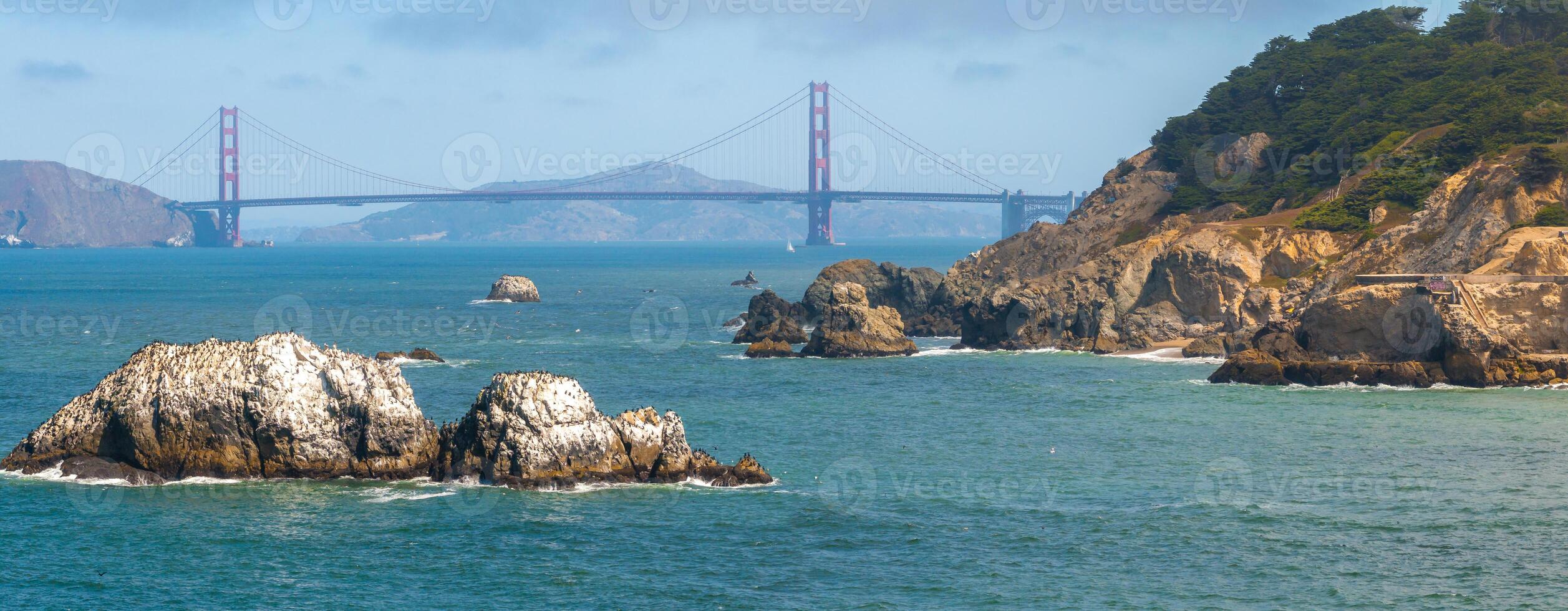 Where the sea meets the land in San Francisco. photo