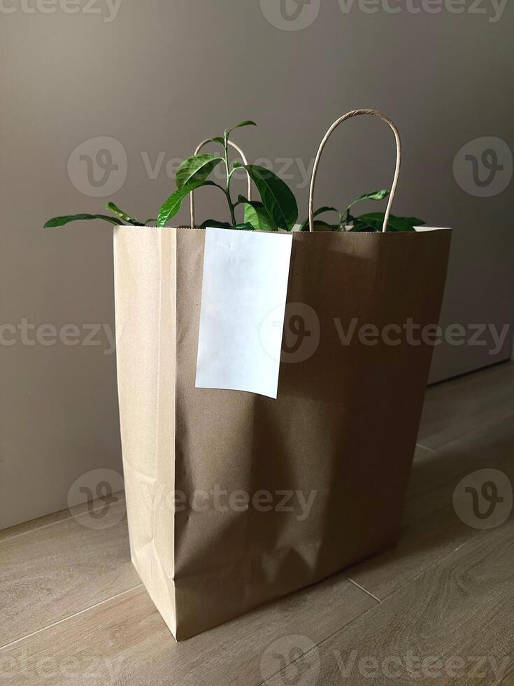 Eco friendly paper bag with empty white receipt on wooden floor with plant inside. Mockup with copy space for logo or receipt. Food or flowers delivery. Grocery bag. photo