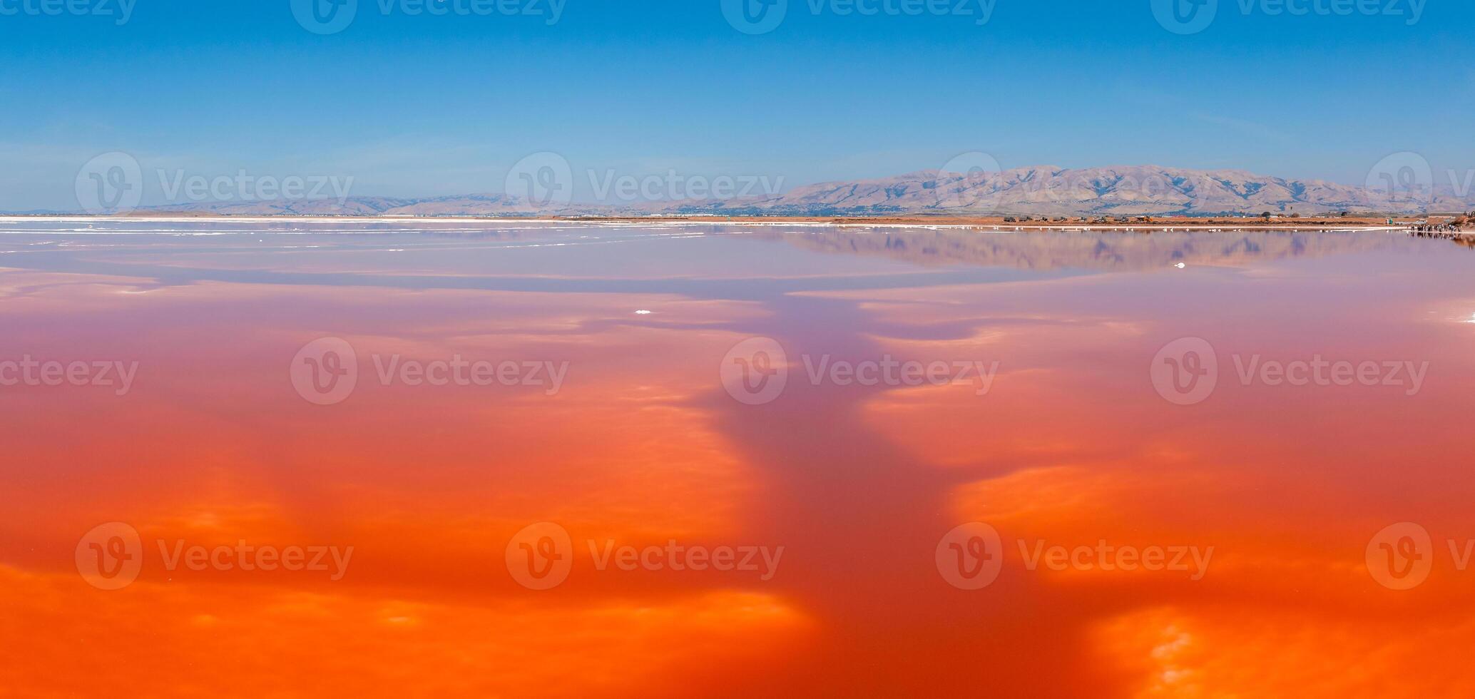 Pink salt ponds at Alviso Marina County Park photo