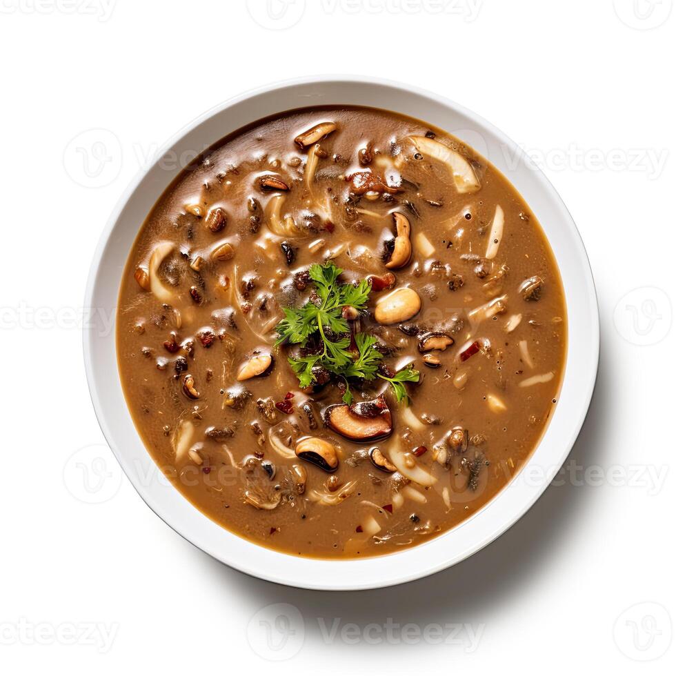AI generated Turtle soup closeup isolated on white background photo