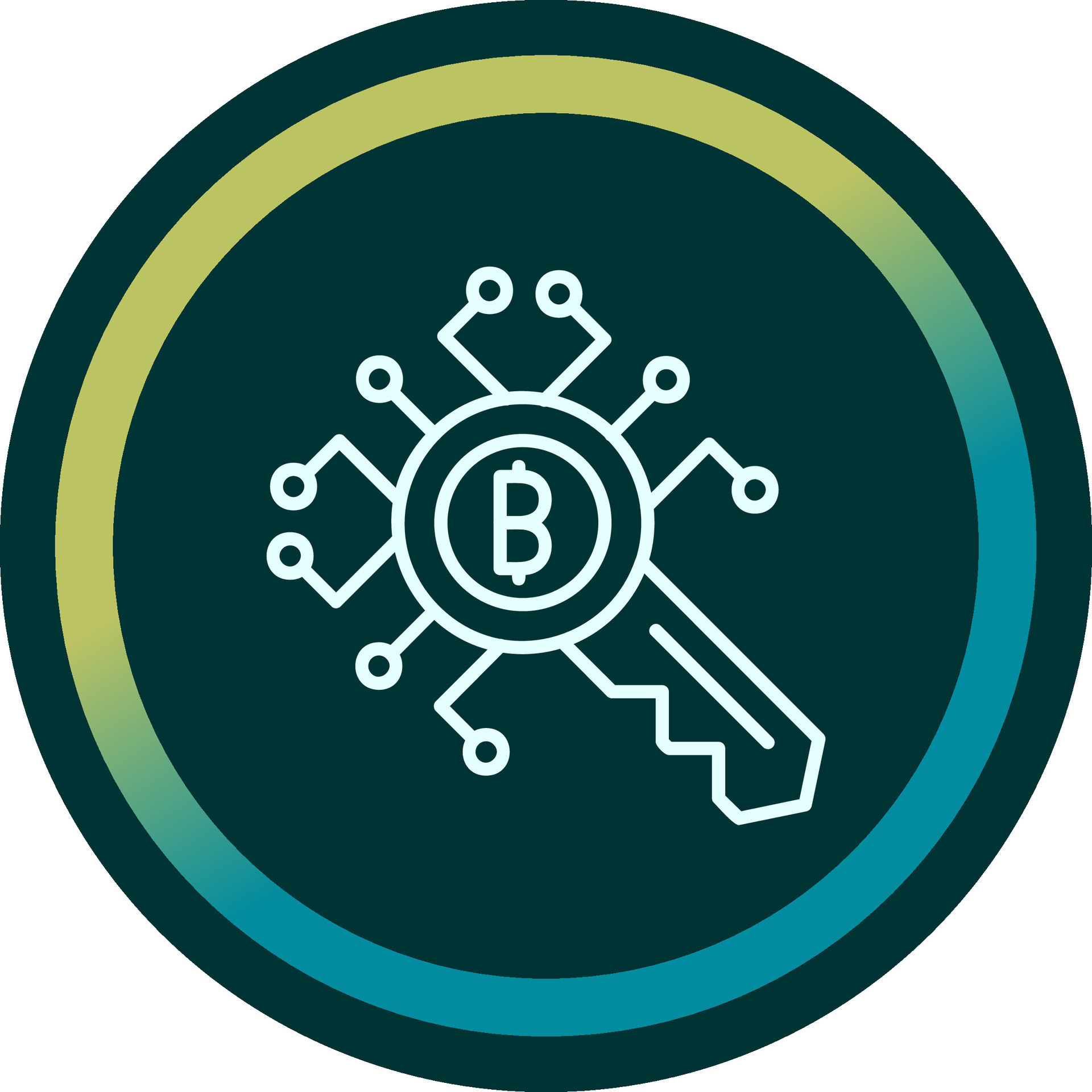 Encryption Key Vector Icon 38915721 Vector Art at Vecteezy