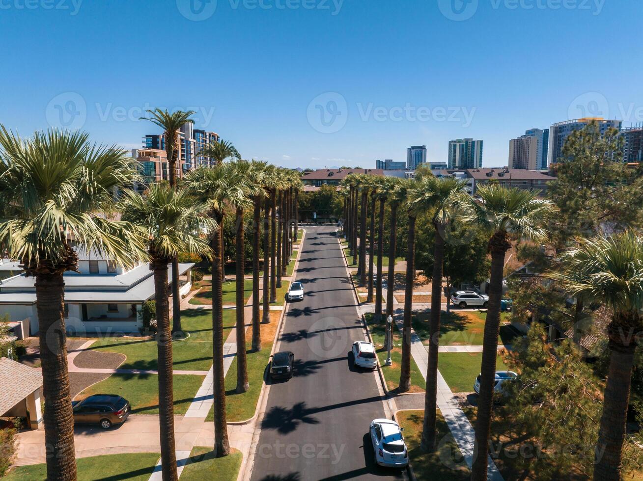 An aerial shot of Californian palms with an empty road. photo