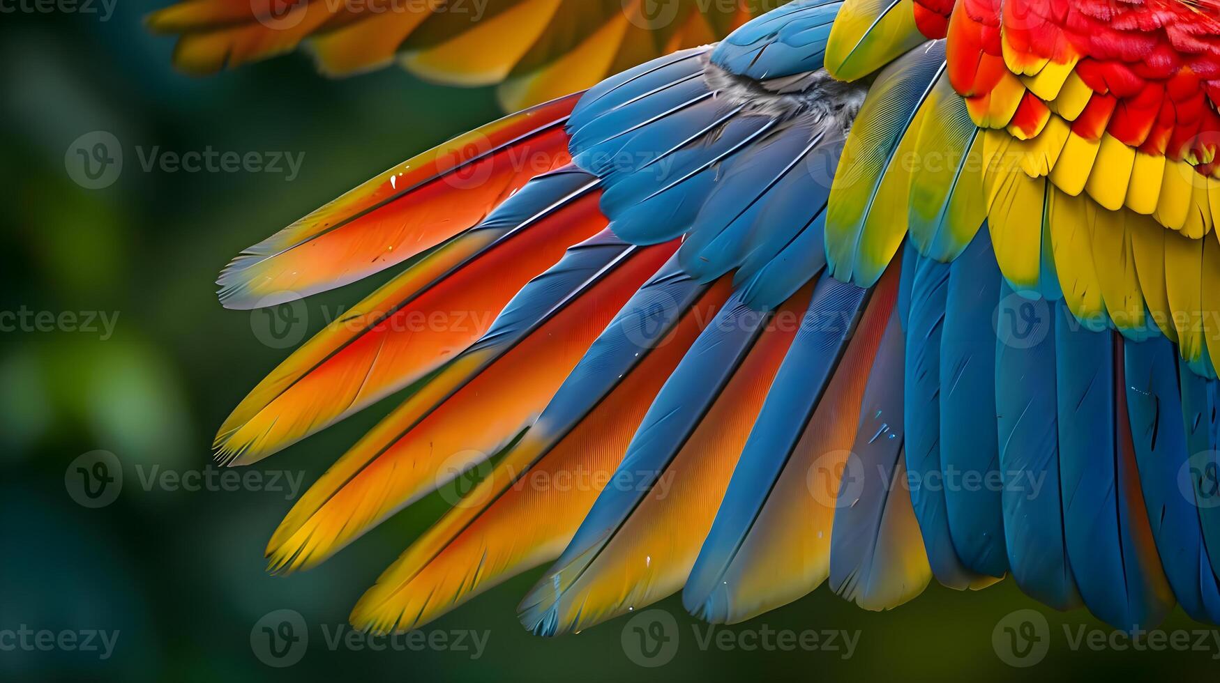 AI generated a close up of a colorful bird's wings photo