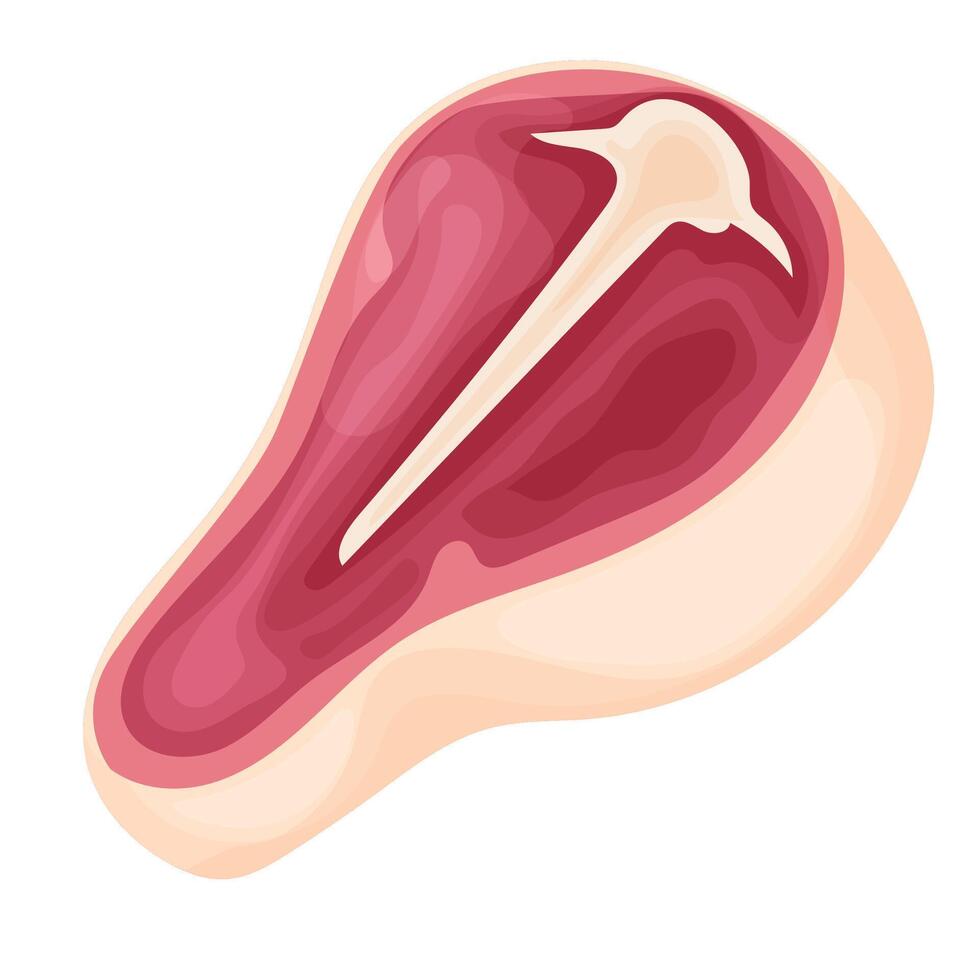 Meat product, raw steak in vector format