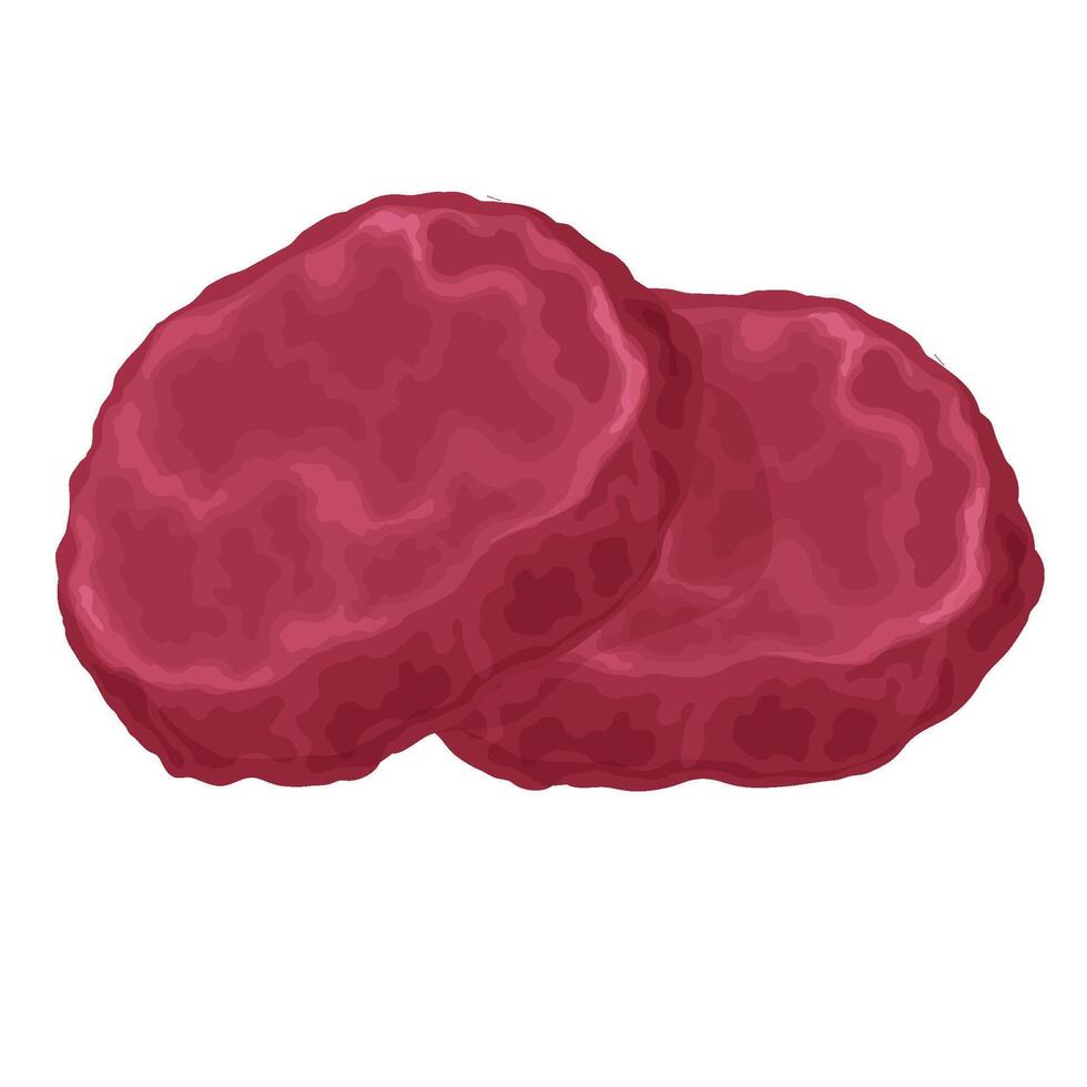 Meat product, raw cutlet, steak in vector format